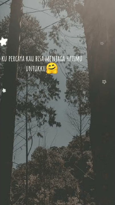 Story WA lagu