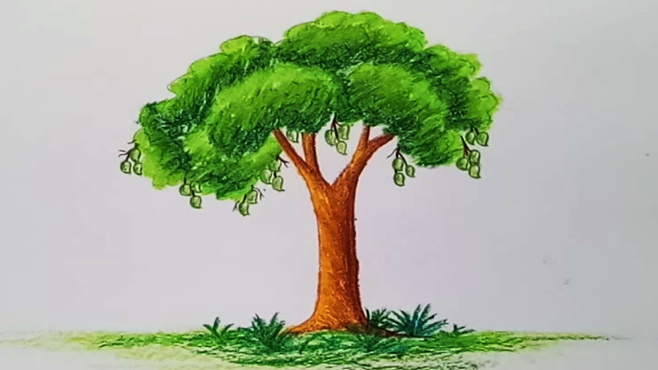 Featured image of post Simple Neem Tree Drawing I made this simple sketch in order to understand knowing about tree structure will help you tremendously while you observe a tree real or photo as the object of your drawing