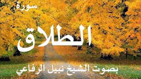سورة الطلاق بصوت الشيخ نبيل الرفاعي