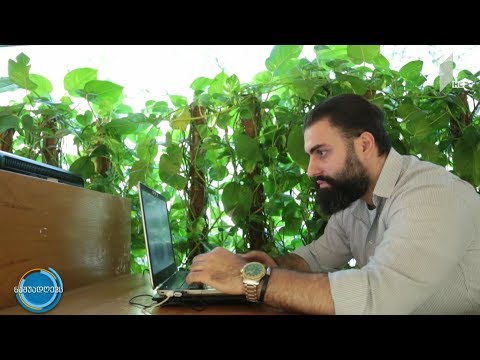 #ნაშუადღევს ისტორია ფერებით