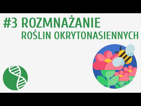 Wideo: Metody rozmnażania roślin: nasienne i wegetatywne