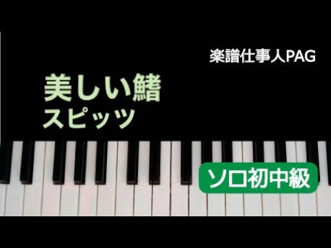 美しい鰭(オリジナルキー) スピッツ