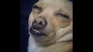 Nostale Dragonveil Angry Mobs Pt.1