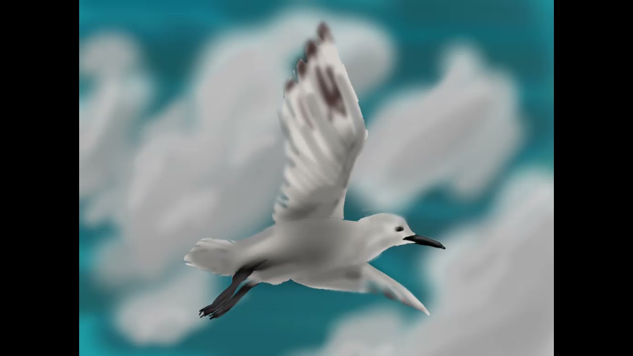 Bird Speed Paint