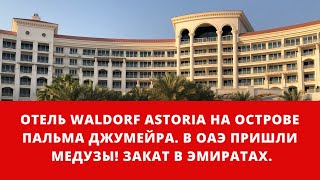 Отель Waldorf Astoria на острове Пальмы Джумейра. В ОАЭ пришли медузы! Закат в Эмиратах.