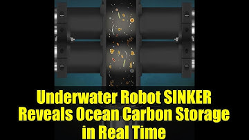 Underwater Robot SINKER Reveals Ocean Carbon Storage in Real Time | Climate Change Innovation