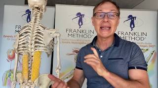 Fix lower back pain fast  An effective exercise for your fascia