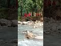 Nepal godawari rivar #nepal #nainital #waterfall #mountains #snowfall #