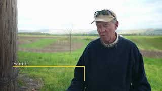 Field Borders