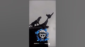 Kung fu cat | ninja cat..🥷💀🗿#cat #trollfaceedit #kungfucat #shorts