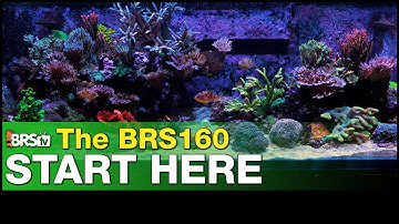 How to set up a reef tank  | 52 Weeks of Reefing
