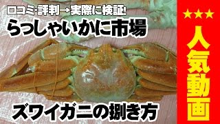 らっしゃいかに市場で実際に通販！【vol.3ズワイガニ殻 むき方 捌き方】　口コミでも評判！タラバガニとズワイガニのセットを取り寄せ