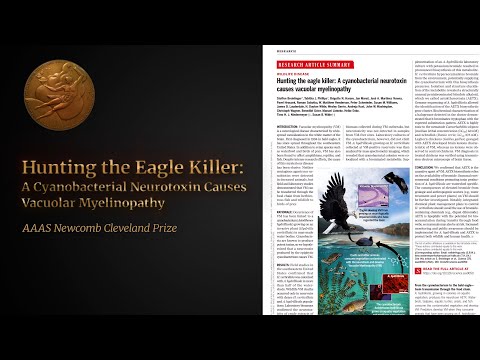 International team wins Newcomb Cleveland Prize for solving eagle-killing mystery