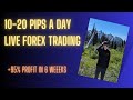 Live forex trading  flash services pmi 2222024