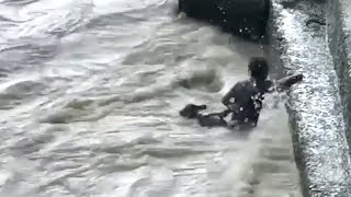 L'homme voit quelque chose d'étrange dans l'eau. Sa réaction est incroyablement courageuse