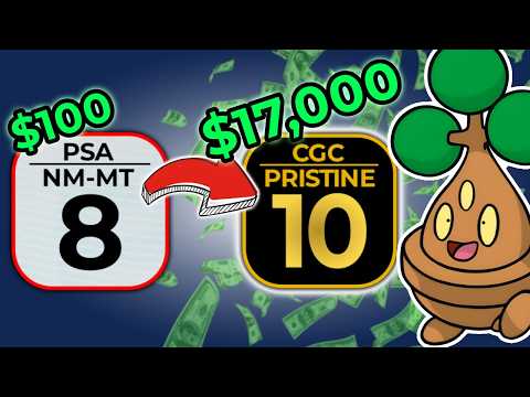 How I Turned $100 Into $17,000 Regrading Pokémon Cards