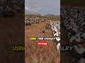 Are You Using Cavalry WRONG in Total War Warhammer 3??