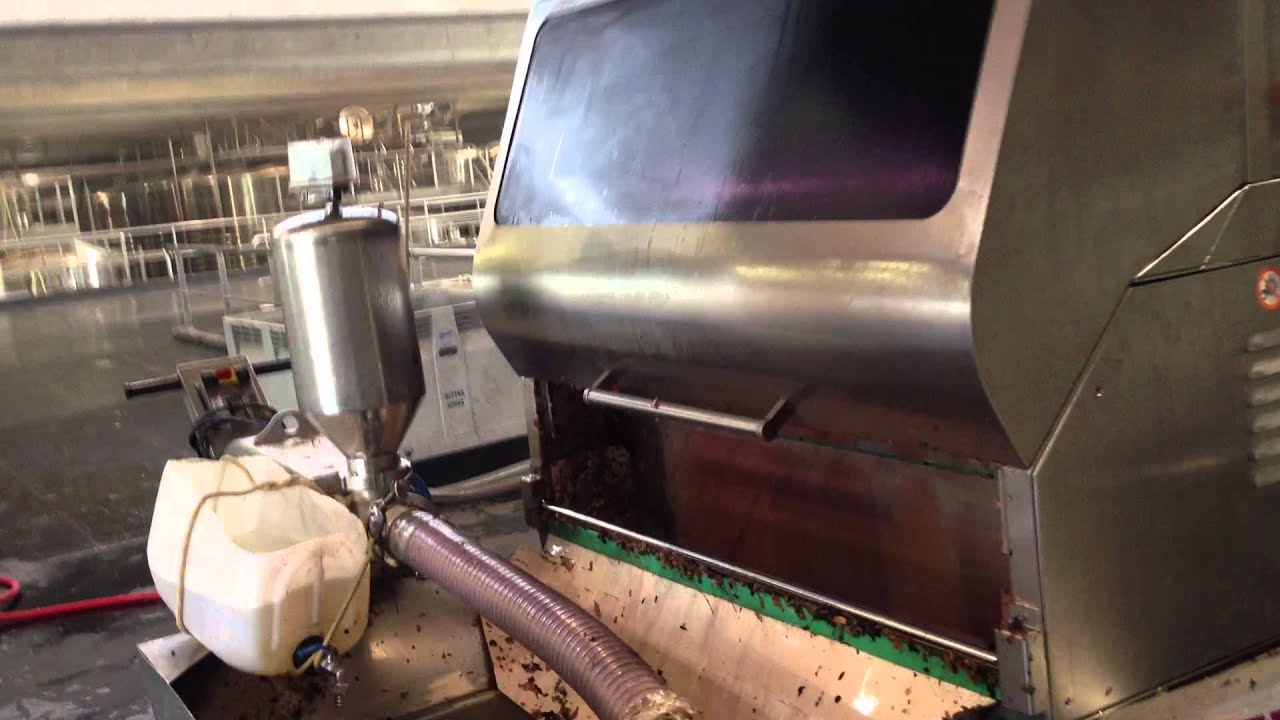 Elaboracion del vino en Mendoza, Rutini con Gloriana Mendez y el Sommelier Randall Calderon Chacon