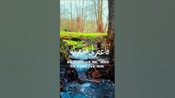 #قران_كريم #قرآن تلاوة تلامس القلوب | استمع للقرآن واشعر بالطمأنينة #اسلام #عبدالباسط_عبدالصمد