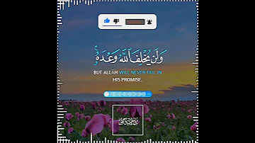 تلاوة هادئة تريح الأعصاب القارئ شريف مصطفى سورة الحج 