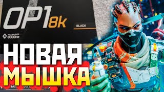 🟥!ФЕРМА ТЕСТ 2 ПК Стрим через NDI под !imba ENERGY - qadRaT Apex Legends Стрим