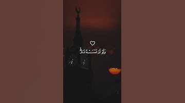 الله نور السماوات والارض القارئ ماهر المعيقلي | اكتب شي تؤجر عليه ❤😴