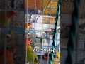 Love birds Price For Sale VIP Pet Shop Mubarakpur Azamgarh @dipparrotfamliy