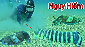 Toang Mạnh Em Kiệt Phải Đi Bệnh Viện Khâu Thịt Khi Lặn Biển Bị TÔM TÍCH Bún | P 586