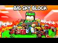 ODIO TUTTA LA BIG SKYBLOCK.
