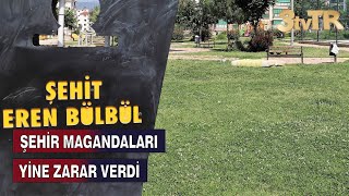 Parkta Üzücü Görüntüler Şehi̇r Magandalari Yi̇ne Zarar Verdi̇