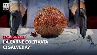 La carne coltivata ci salverà? | Il Giardino di Albert | RSI Info