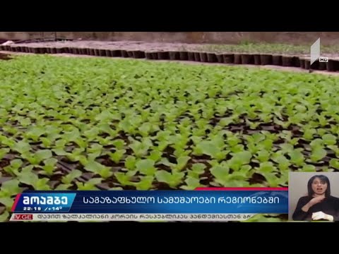 საგაზაფხულო სამუშაოები რეგიონებში