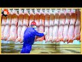 How does modern pork production technology work in germany  food industry machines