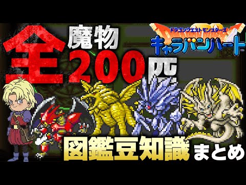 DQM25th 新作発売決定おめでとう！】ドラゴンクエスト