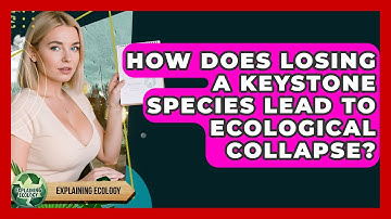 How Does Losing A Keystone Species Lead To Ecological Collapse? - Explaining Ecology