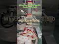 Back-seal powder packaging machine