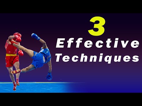 Mastering Wushu Sanda: