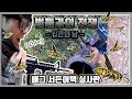 벌들과의 전쟁 - 심판의날 - 벌제거 합동작전! (배그) 배틀그라운드 서든어택 실사판