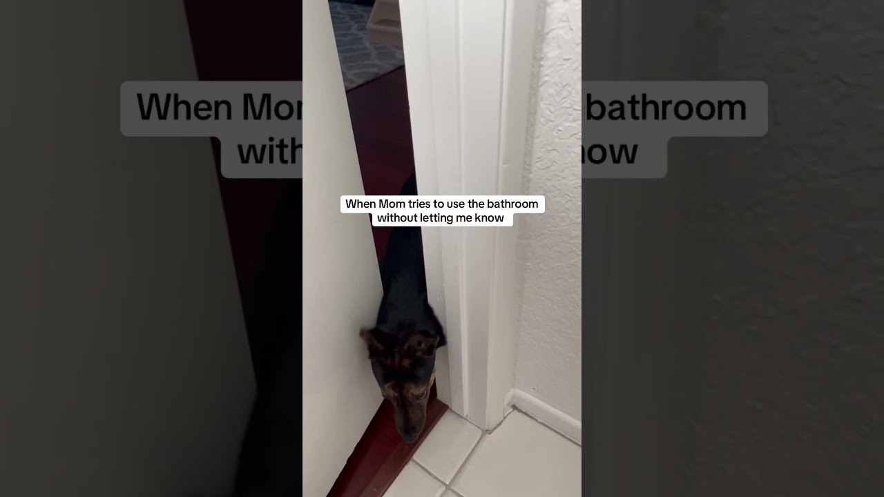 When Mom Tries To Use The Bathroom Without Letting Me Know