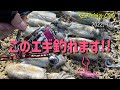 【エギング】ダイワタックルで秋イカ攻略!!
