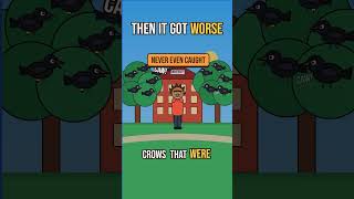 Never Make a Crow Mad 🐦‍⬛ #shorts