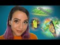 ASMR MY BUTTERFLY GARDEN 🐛🦋🦋