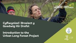 Introduction to the Urban Long Forest Project