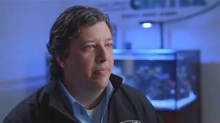 System Development and Integration | The Service Center