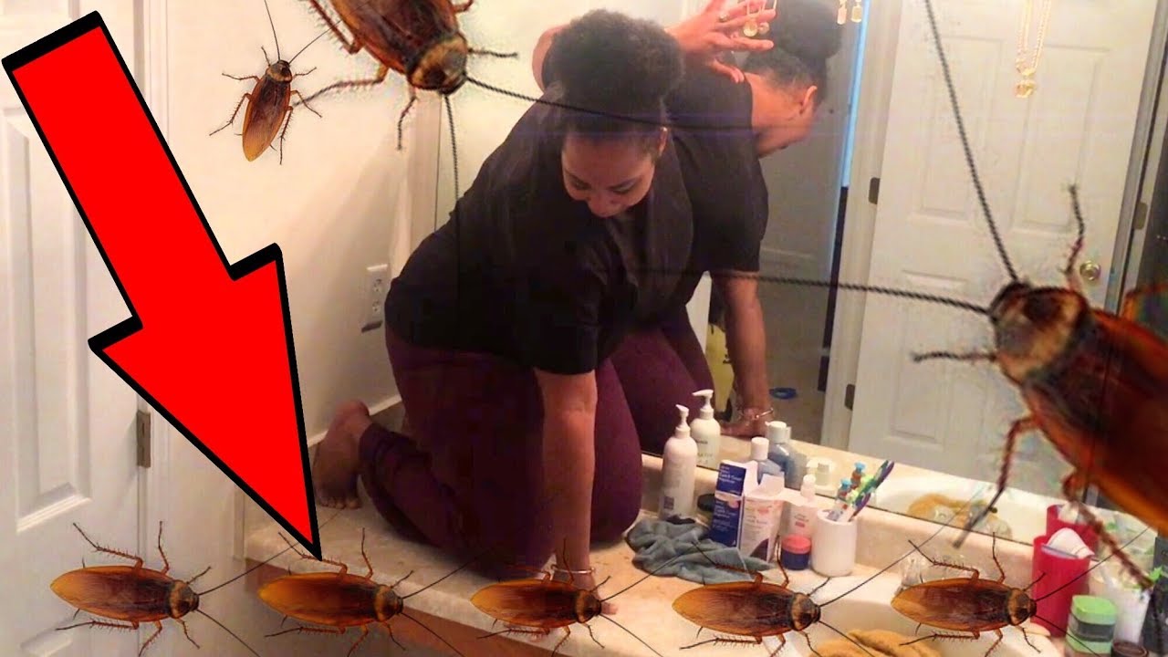 COCKROACH PRANK ON GIRLFRIEND (SHE POOPED ON HERSELF) OMG