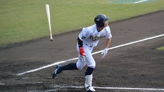 みやざきフェニックスリーグ2014 (2014-1019)