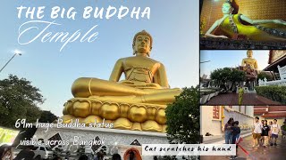 69m huge Buddha statue (wat paknam Bhasicharoen)Bangkok,cat scratches my son’s hand inside temple😔