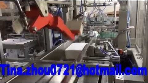 Full Automatic Paper Towel Packing Machine