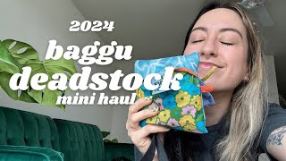 baggu deadstock 2024 | alexis angelina