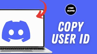 How to Copy Discord User ID